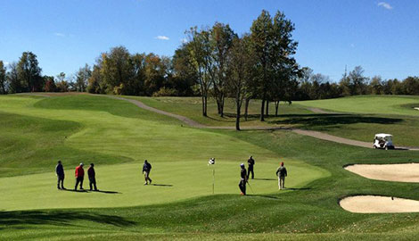 Golfers on course 