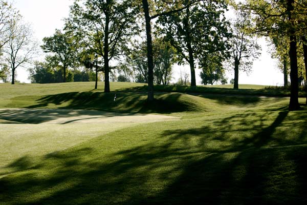 Homepage Blackthorn Golf Club