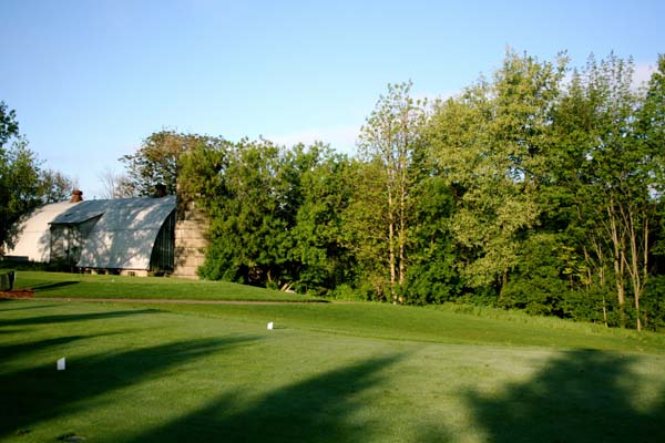 golf course with trees