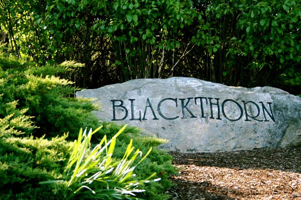 Blackthorn name engraved in a rock 