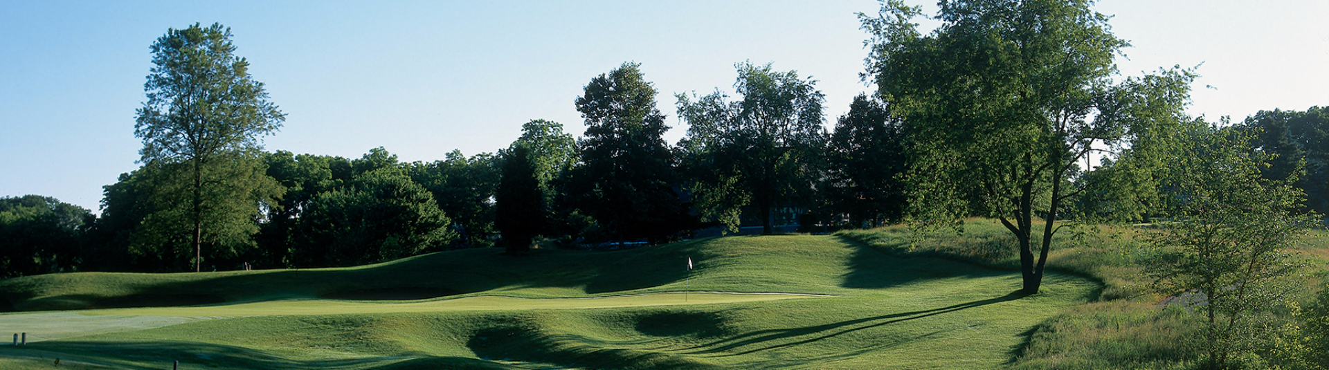 Golf course with trees